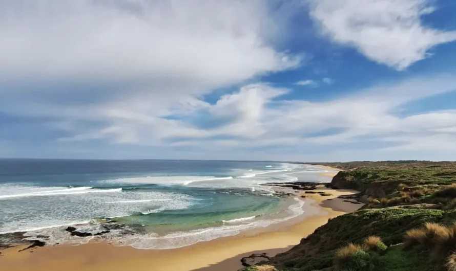 What’s The Best Weekend Plan For First-Time Visitors To Phillip Island?
